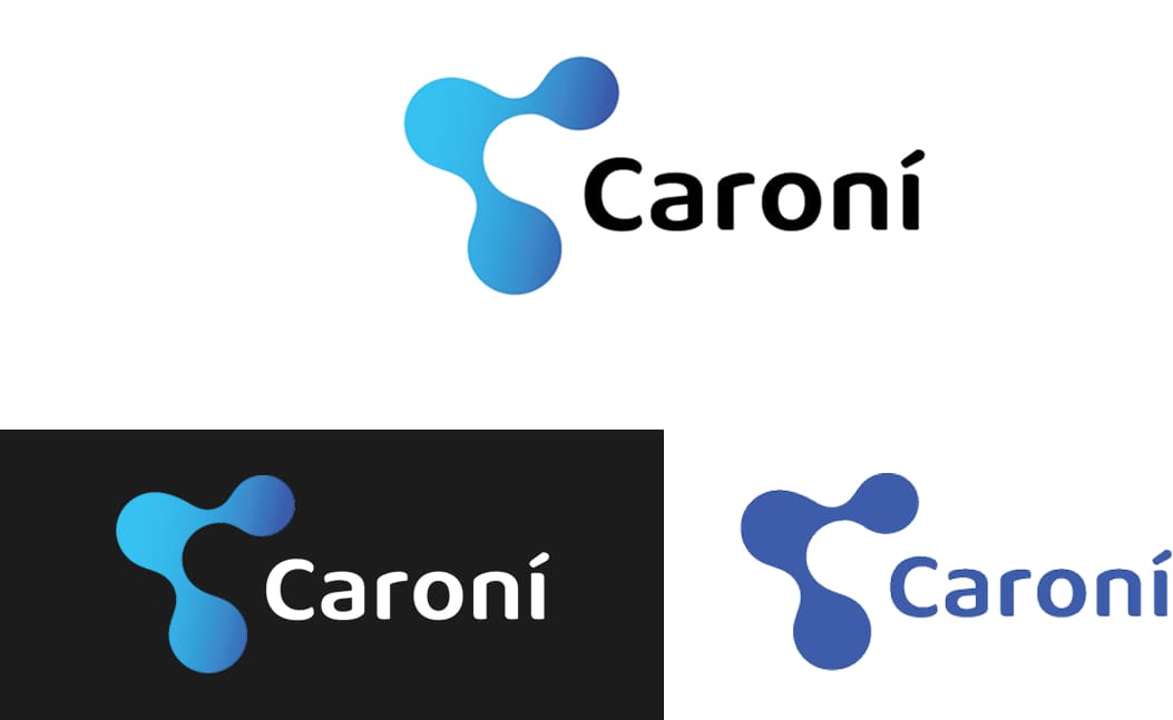 Caroní Identity System Design