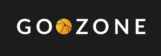 Goozone Brand Identity
