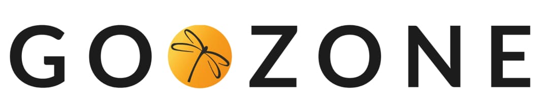 Goozone Brand Identity