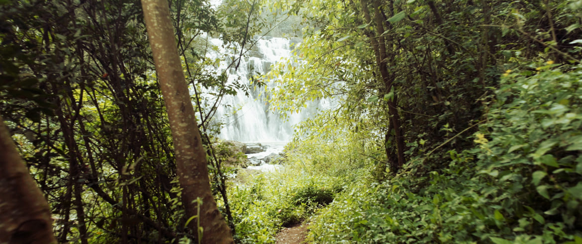 Misiones — Turismo Nación Landscapes & Nature