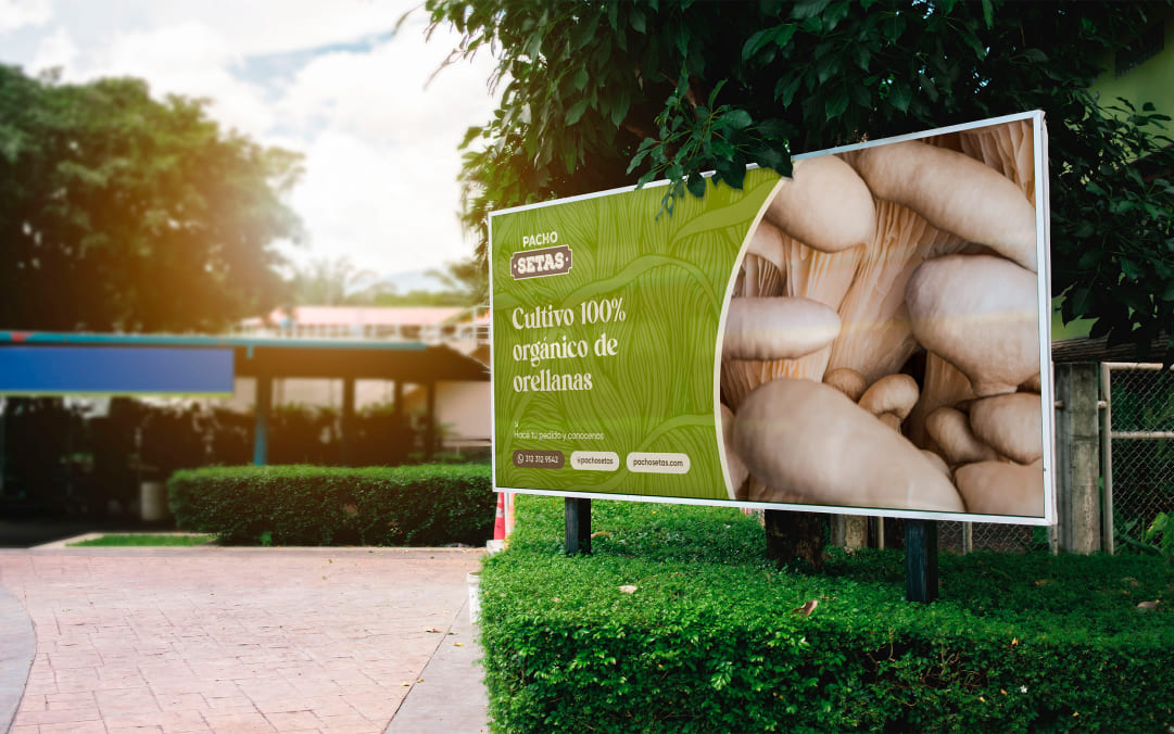 Pacho Setas Brand Identity