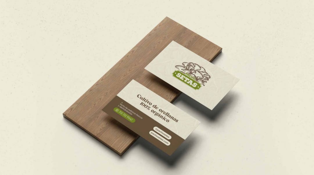 Pacho Setas Brand Identity