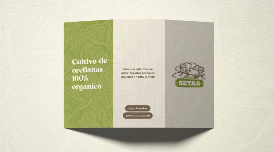 Pacho Setas Web Design & Development