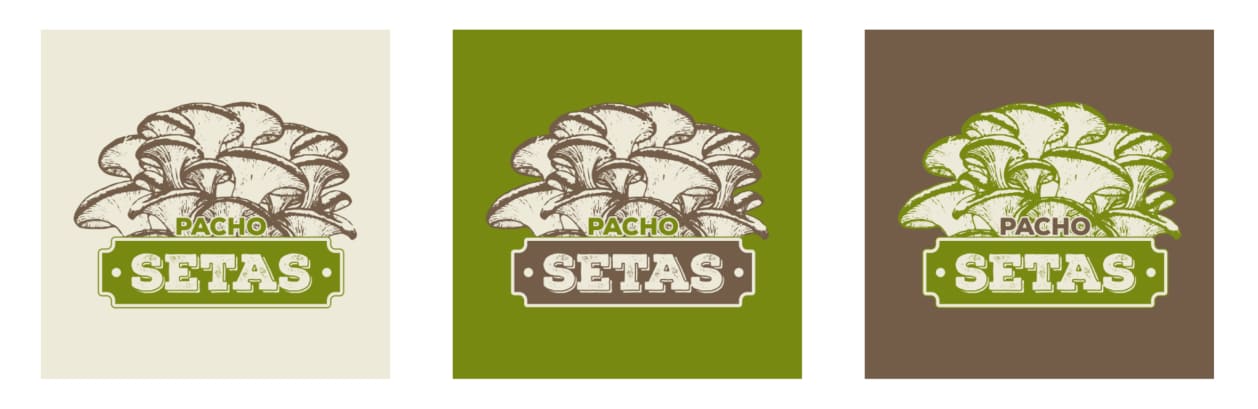 Pacho Setas Brand Identity