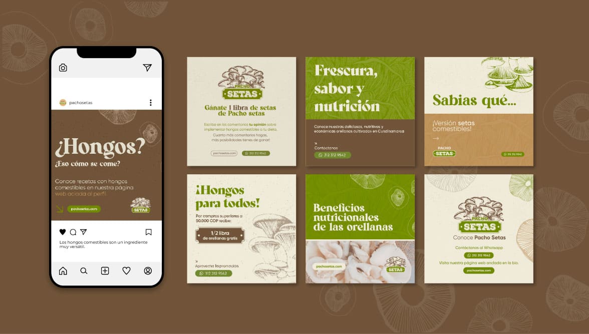 Pacho Setas Social Media